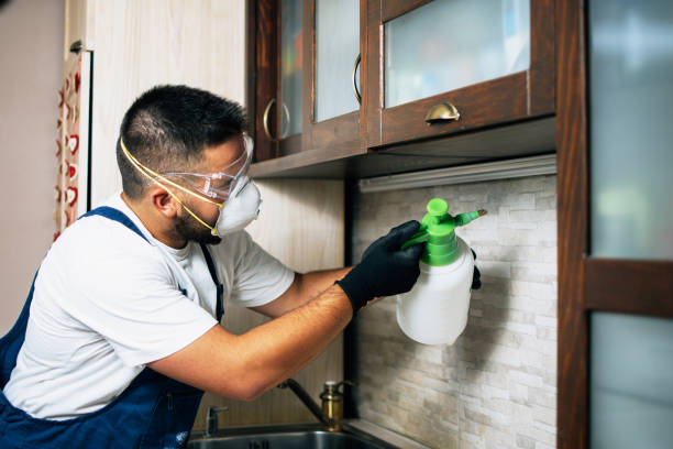 Best Pest Control for Restaurants  in Middletown, PA