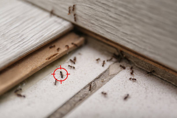 Best Wildlife Control Services  in Middletown, PA