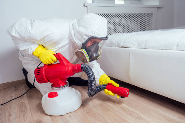 Best Affordable Pest Control Services  in Middletown, PA