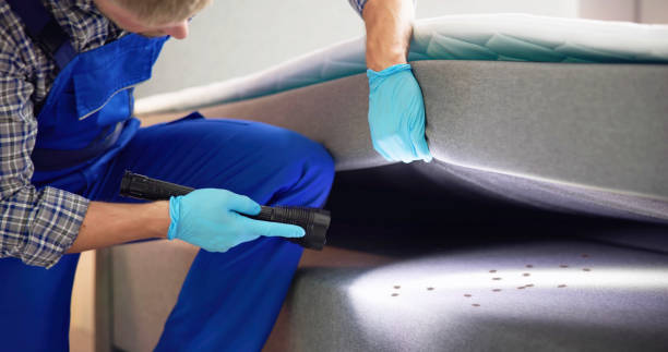 Best Wasp Removal Services  in Middletown, PA