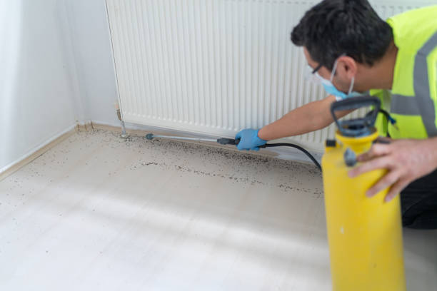 Best Flea Control Services  in Middletown, PA